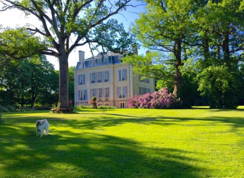 Boussac Bed & Breakfast | Château La Creuzette