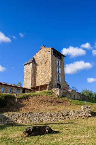 Montegut Bed & Breakfast | Château Montegut Hebergement atypique batiments exterieurs en renovation