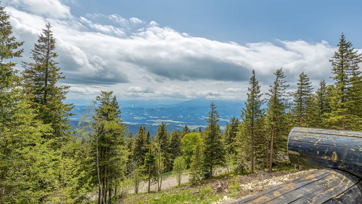 Slovenj Gradec Apartment | Chalet Snowflake Ia 20m From Ski Trail, Šmartno pri Slovenj Gradcu, Slovenia
