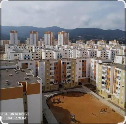 Skikda Apartment | Chafia