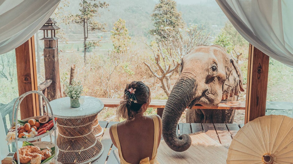 Mae Wang House | Chai Lai Mountain