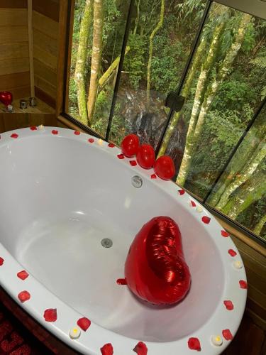 Corrego do Bom Jesus Ski Chalet | chalé Valle das Araucárias