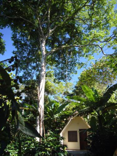 Ubajara National Park Hotel | Chalés Sítio do Alemão