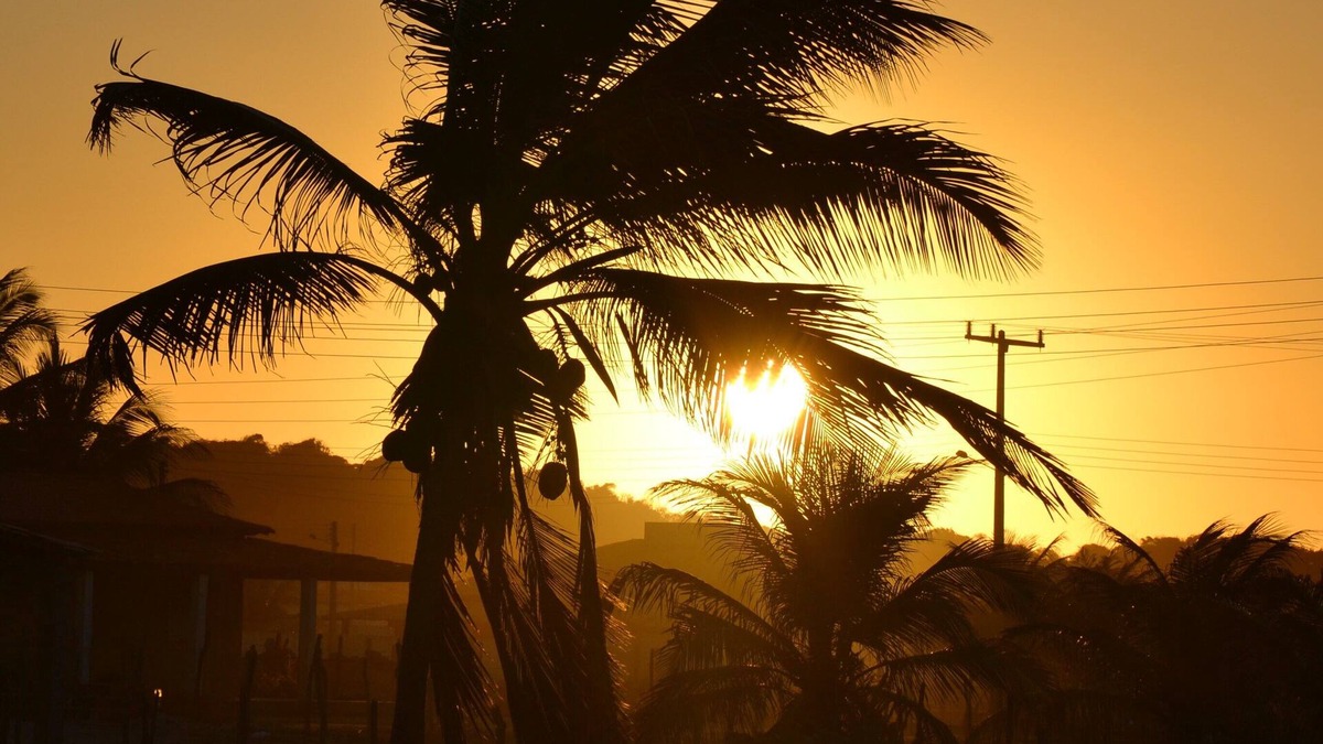 Estancia Ski Chalet | Chale on Nordeste beach (Sergipe coast: Saco beach, Mangue Seco)
