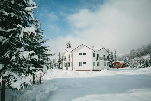 Cavnic Apartment | Chalet 2B