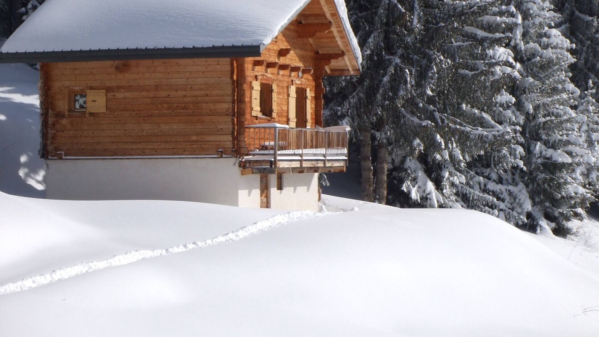 Bisanne 1500 Ski Chalet | chalet - 3 rooms - 4/6 persons