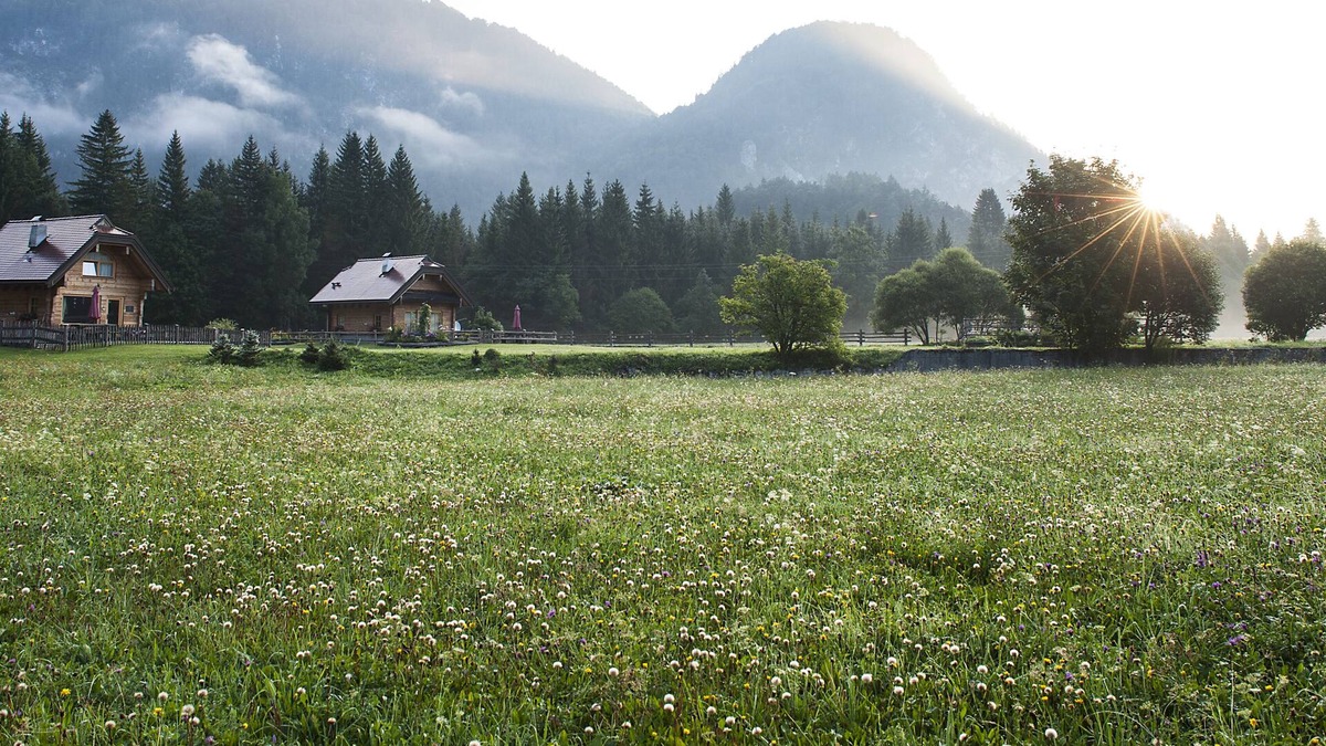 Malborghetto Valbruna Ski Chalet | Chalet Alpi Giulie-Il Nido