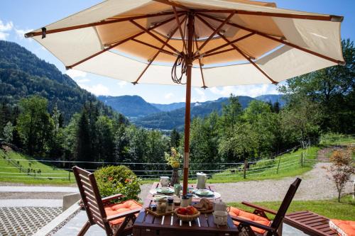 Goestling an der Ybbs House | Chalet Alte Schmiede