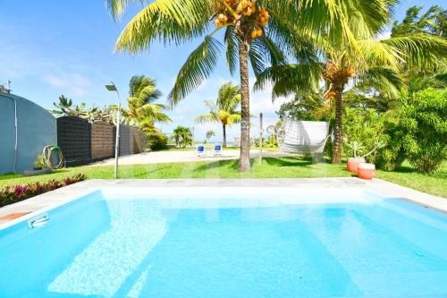 Surinam House | Chalet Cardinal
