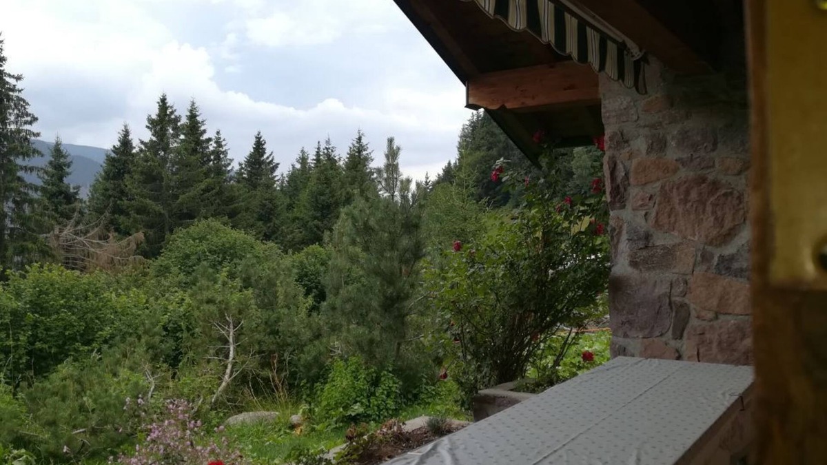 Prestine Cabin | Chalet | Chalet - Adamello Park, Limen BS