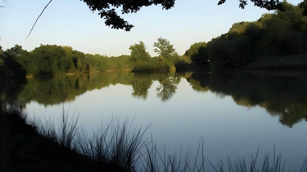 Bretagne-d'Armagnac Apartment | Chalet 'Club 5 Personnes 88' with Private Terrace, Private Garden and Wi-Fi