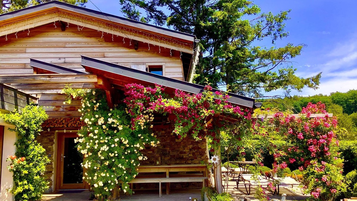 Osenbach Ski Chalet | Chalet du Bickenberg in Osenbach near Colmar - playground - shared pool