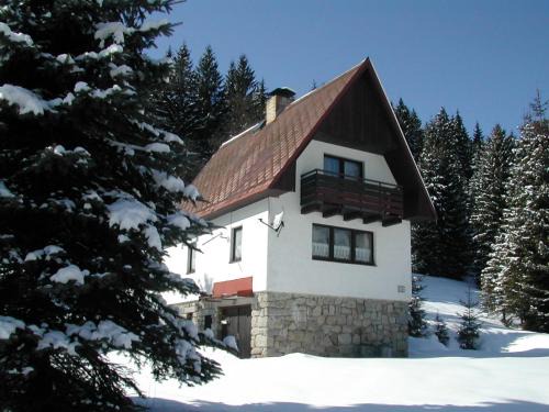 Nove Hamry Ski Chalet | Chalet Helena