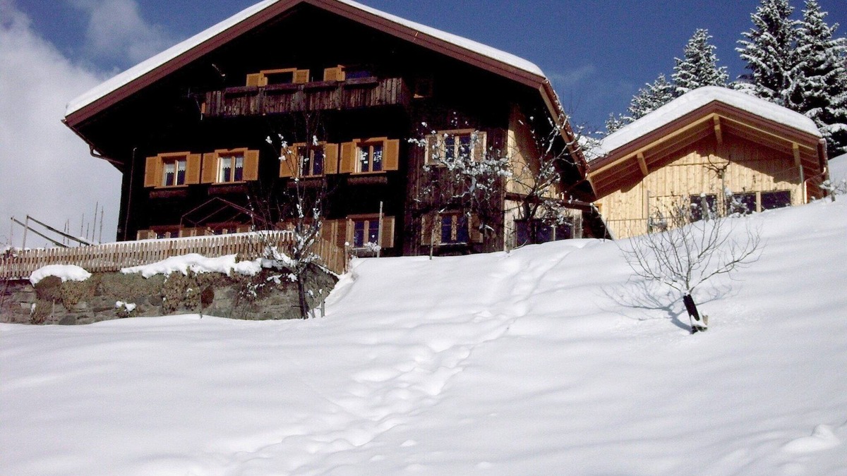 Schruns Apartment | Chalet in Schruns near Montafon Ski Lift