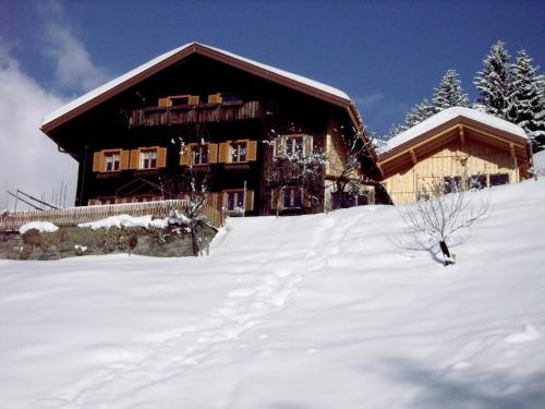 Schruns Apartment | Chalet in Schruns near Montafon Ski Lift