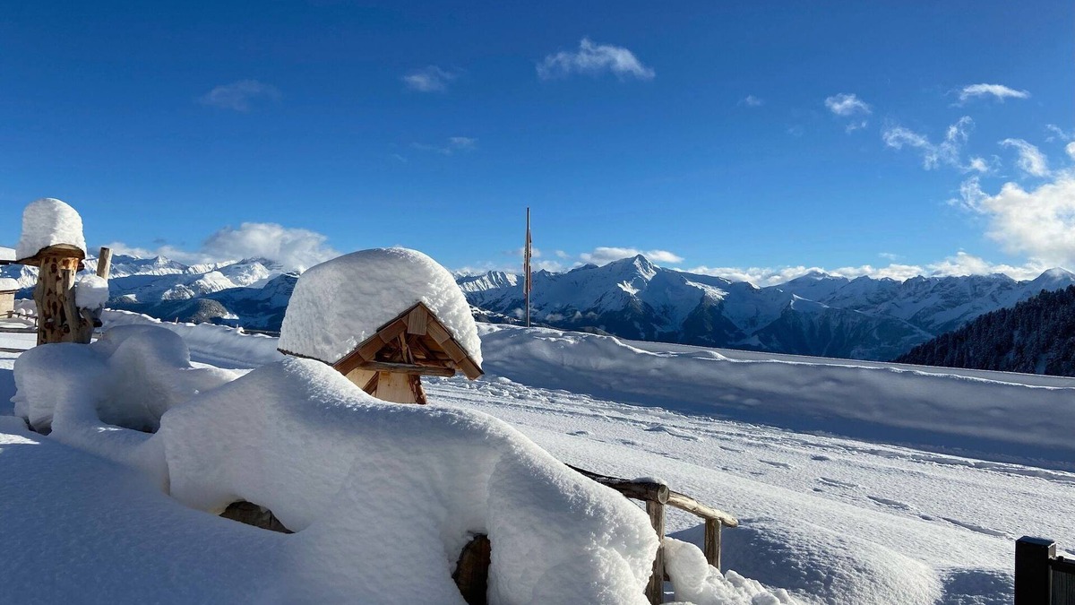 Zellberg Apartment | Chalet in Zillertal near Hochzillertal Ski Area