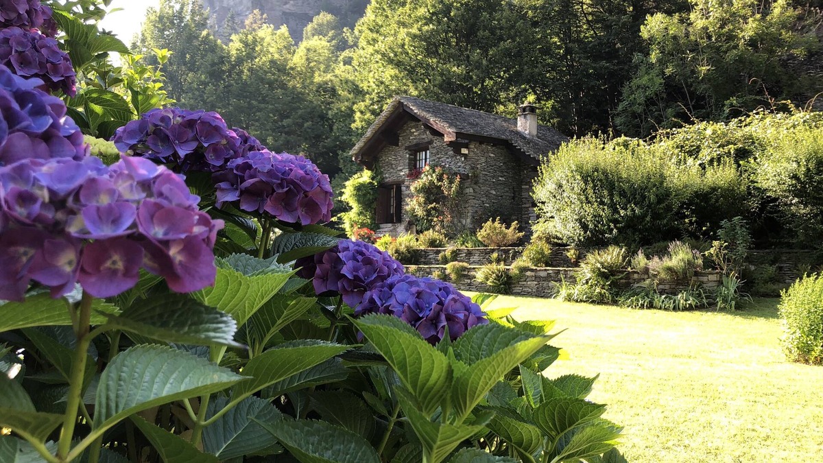 Croveo Ski Chalet | CHALET LA BAITA