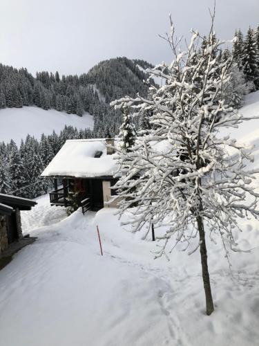 Champoussin Apartment | Chalet LYS Apartment 14 Rue Sigma