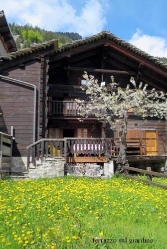 Borca Ski Chalet | Chalet Martina