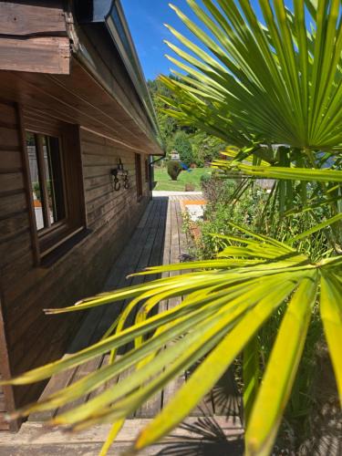 Brimeux Ski Chalet | Chalet piscine chauffée et couverte