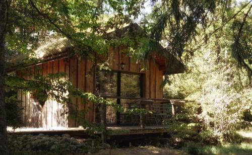 Champfromier Other | Chalet toit vegétalisé