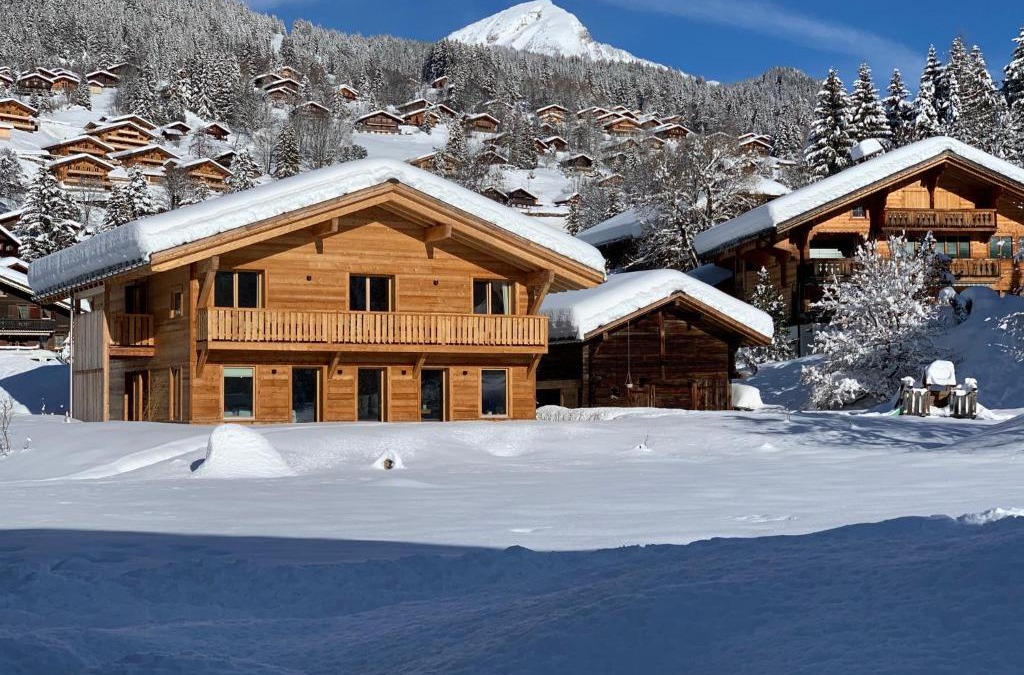 Ormont-Dessus Apartment | Chalet Vicky et Nino