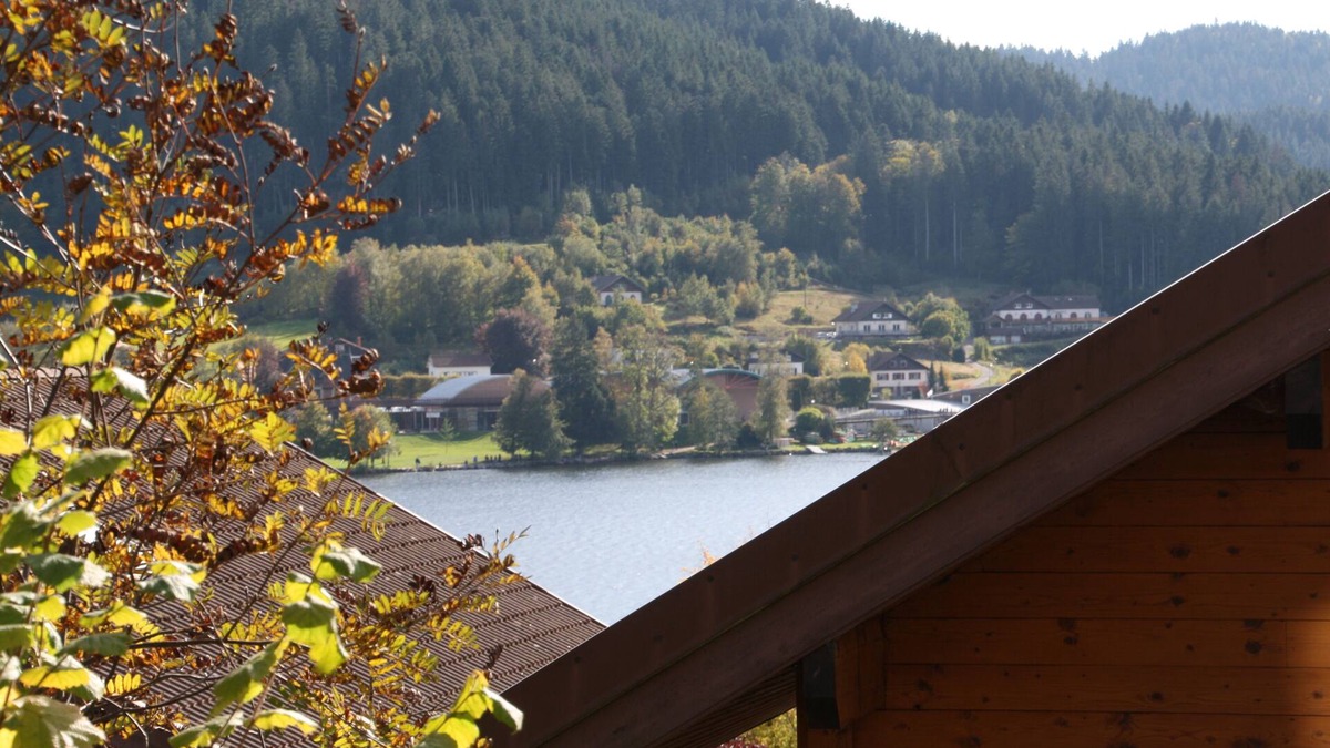 Gerardmer Apartment | Chalet Vosgien - Nice apartment near the lake