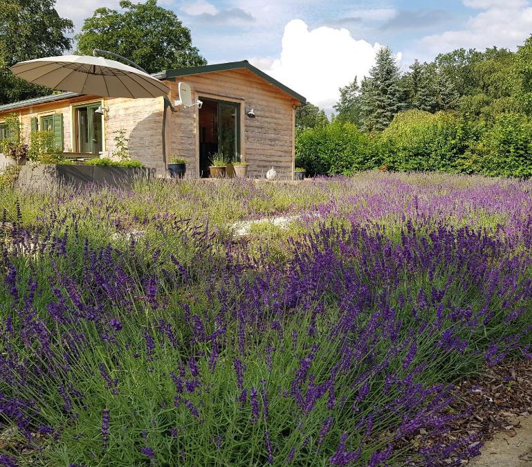 Muecke House | Chalet "Waldhauszeit" am See