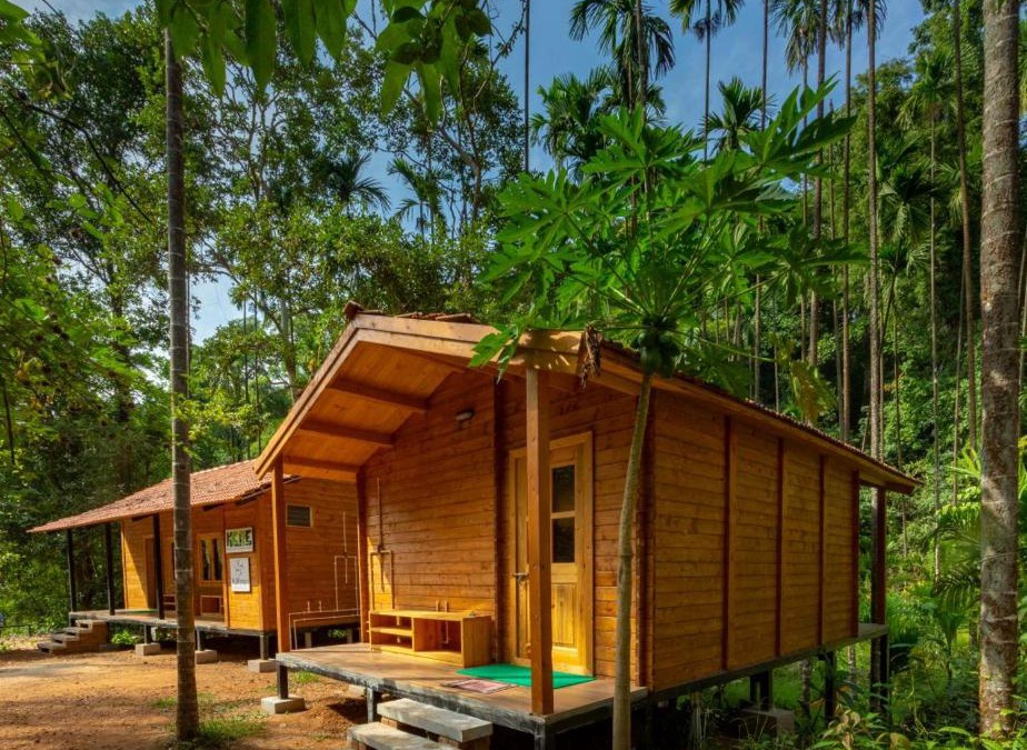 Tirthalli Other | Chalets in Agumbe RainForest