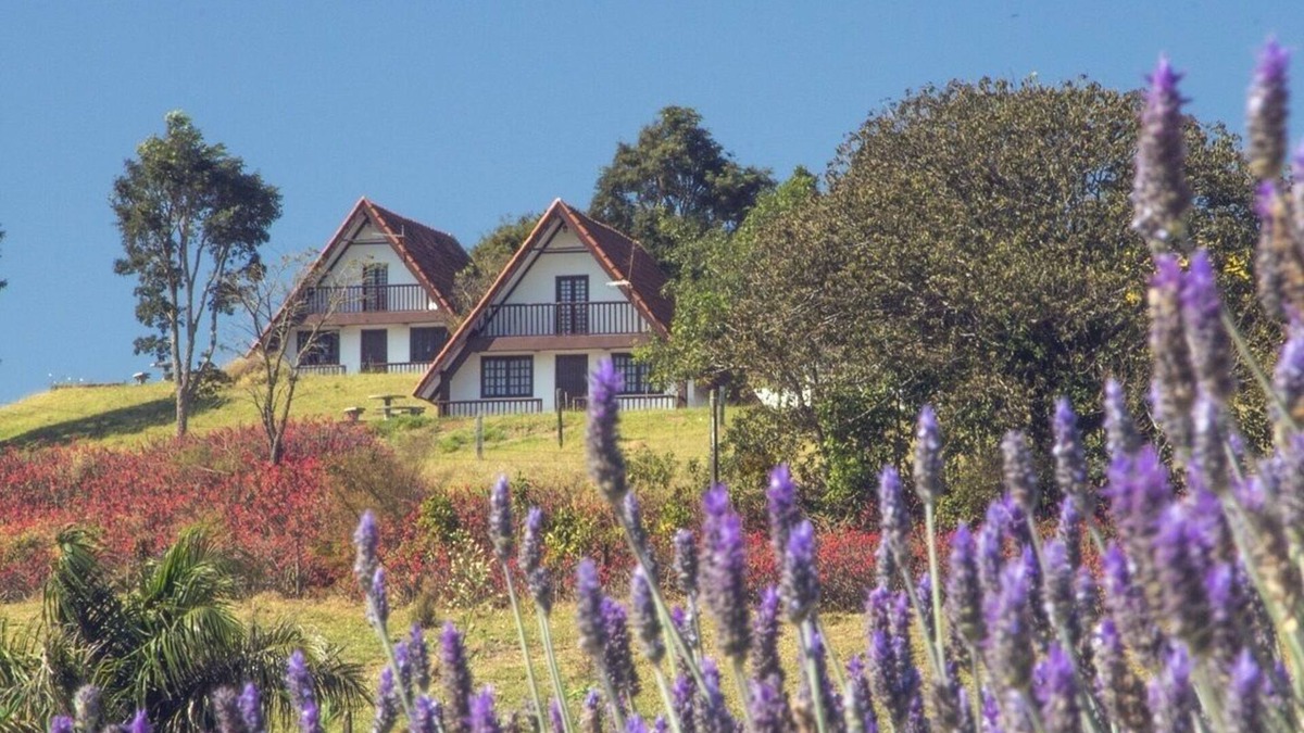 Pardinho Cottage | Chalets style Swiss in the highest point of the Cuesta