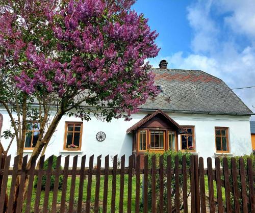 Stara Ves House | Chalupa Potočná, Stará Ves, Jeseníky