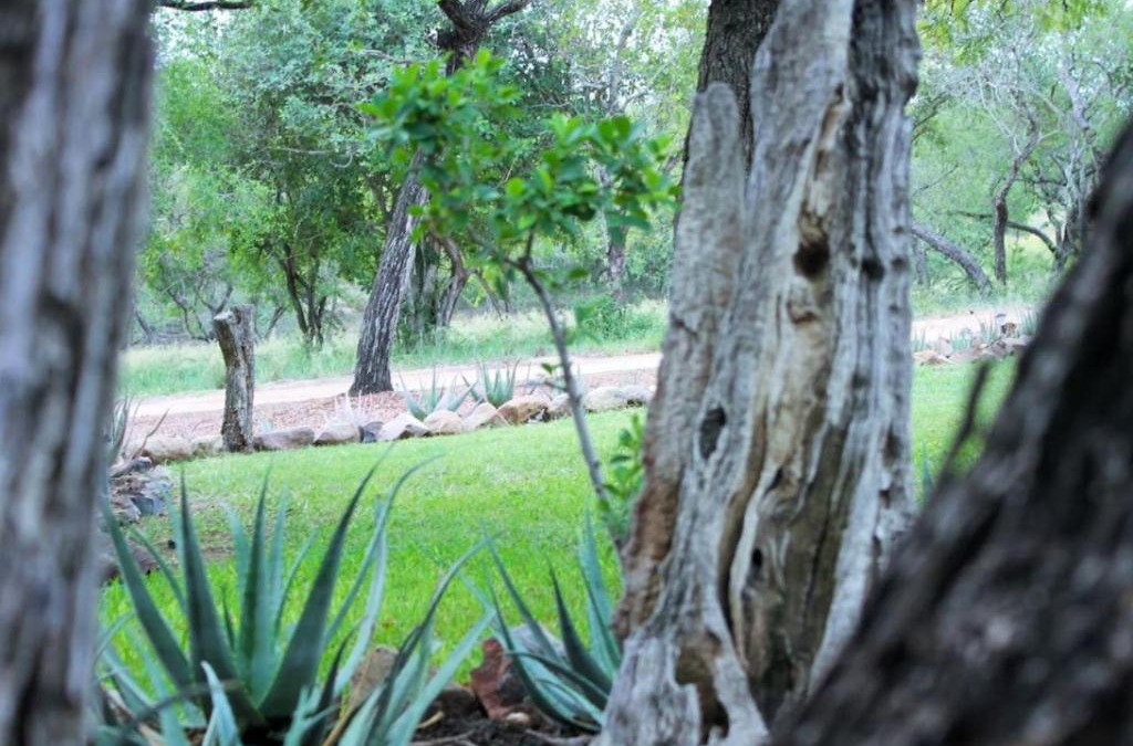Hectorspruit Cabin | Chama Game Lodge