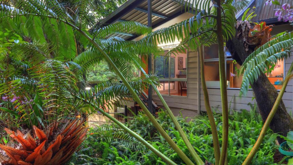 Lake Eacham Cabin | Chambers Wildlife Rainforest Lodges