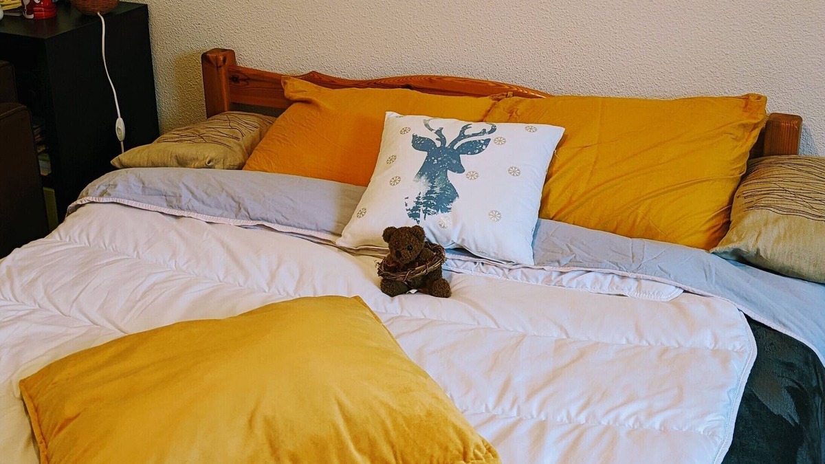 Teilhard Bed & Breakfast | Chambre aux Pieds des Volcans