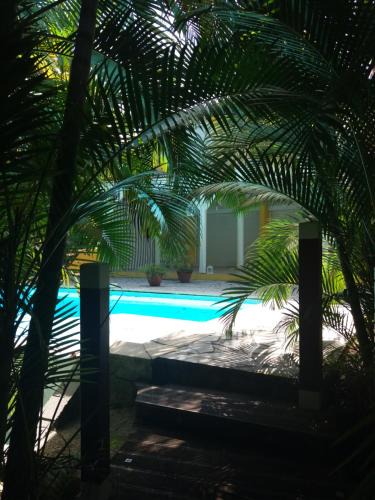 Schoelcher Bed & Breakfast | Chambre d'hôte et Loft dans maison de charme piscine à débordement La Villa Gialla