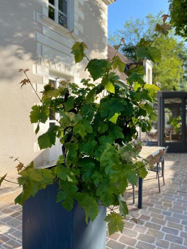 Civray-de-Touraine Bed & Breakfast | chambre d'hôtes La Marmittiére