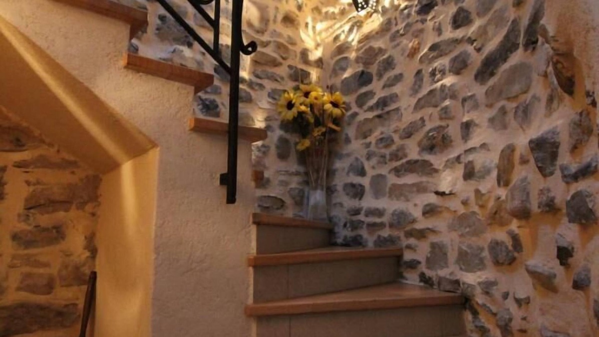 Vesseaux House | Chambre d'hôtes Le Mas du Moulin