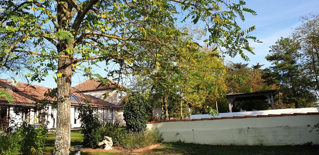 Mirannes Bed & Breakfast | CHAMBRE D'HOTE 40 M2 très agréable