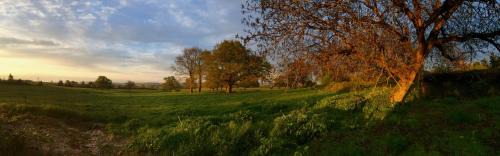 Sauvigny-le-Beureal Bed & Breakfast | Chambre d'hotes Ferme de la Forlonge