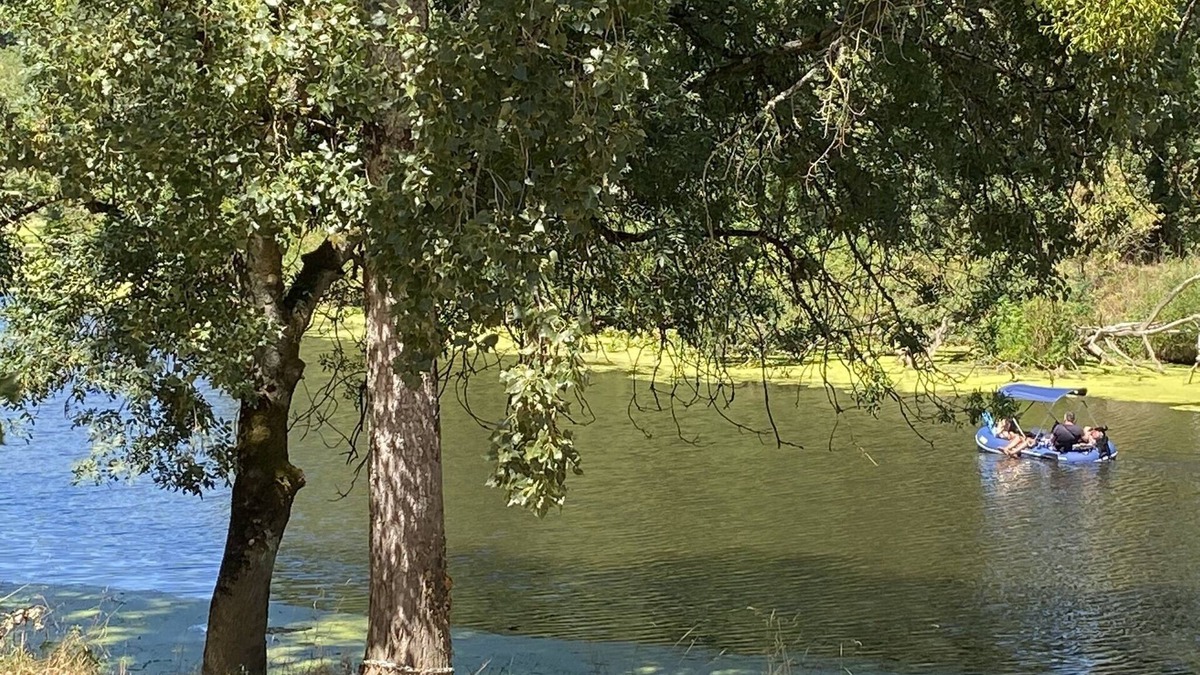 Saint-Fiacre-sur-Maine Bed & Breakfast | Chambre privée Camélia: house with trees facing the river