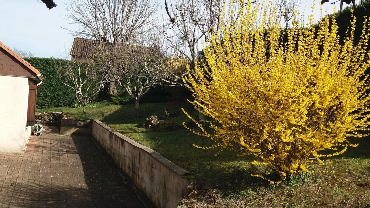 Boulazac-Isle-Manoire Apartment | Chambres Chez L'habitant Coco2