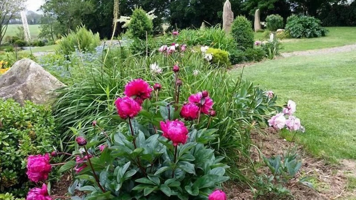 Plonevez-Porzay Bed & Breakfast | Chambres d'Hôtes Belard