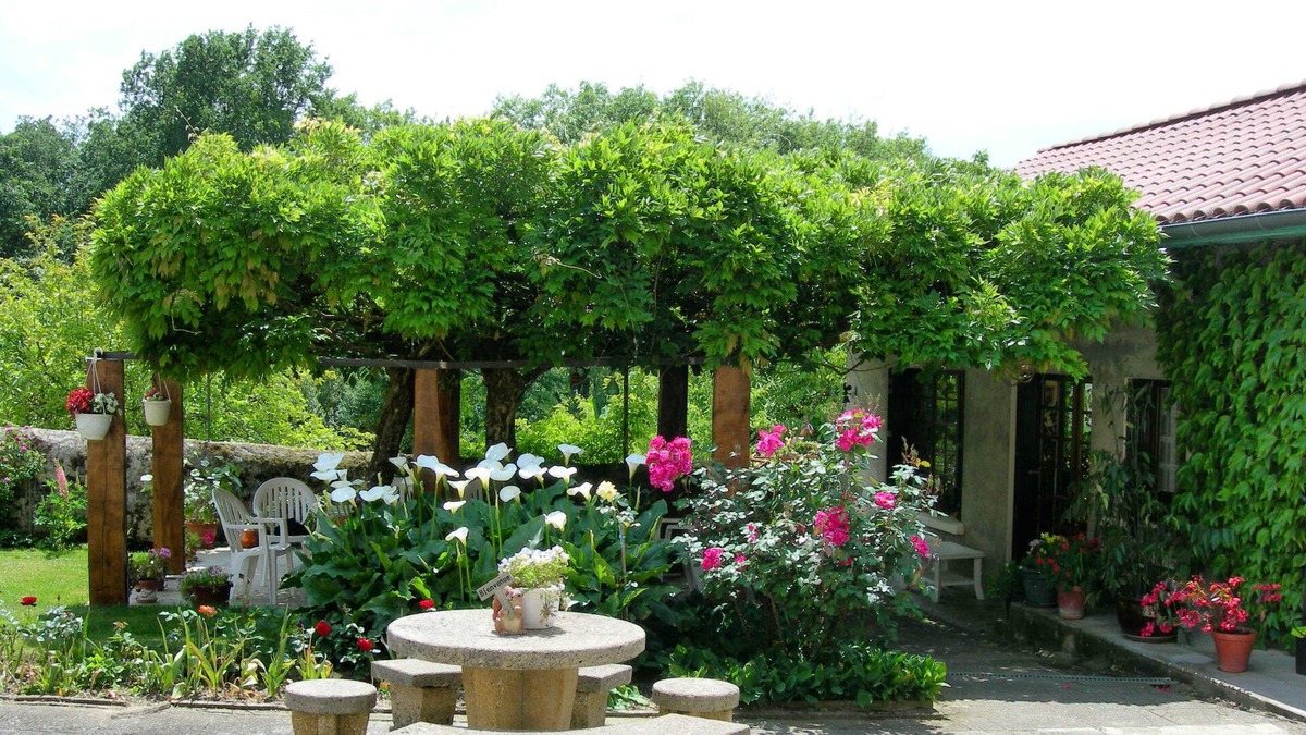 Mielan Bed & Breakfast | Chambres d'hôtes Sous la Glycine