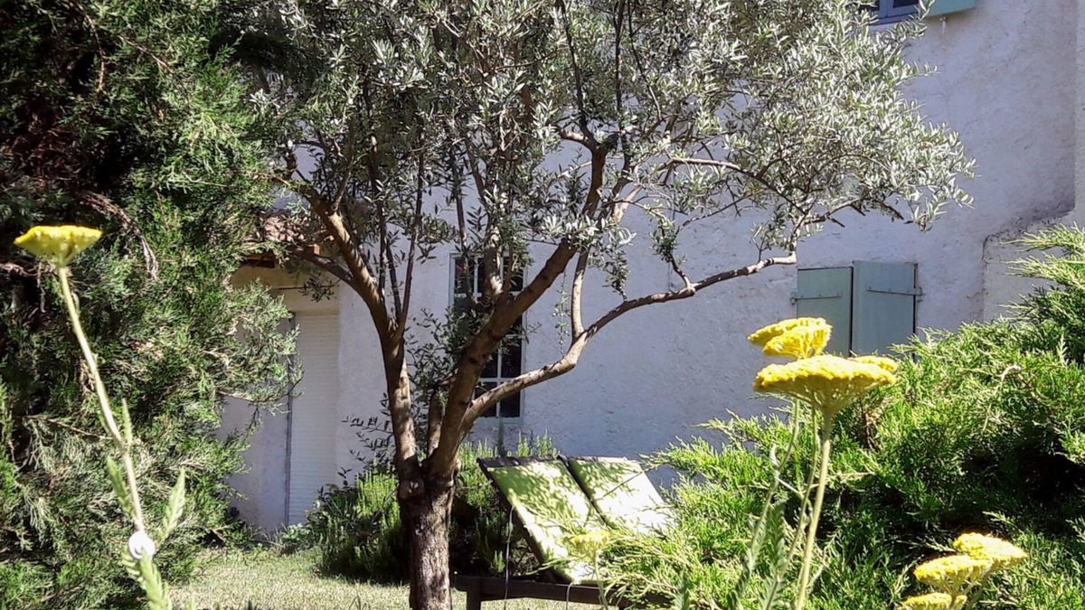 Niozelles Bed & Breakfast | Chambres d'hotes A l'Ombre du Saule