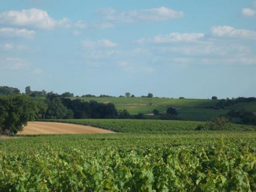 Faye-d'Anjou Bed & Breakfast | Chambres des Noels