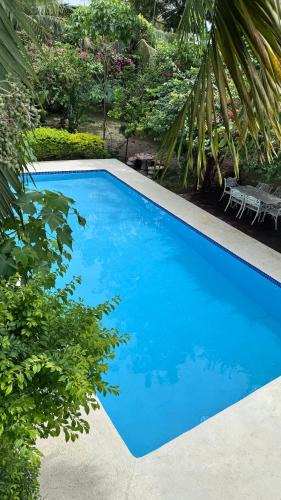 David Hostel | Chambres en Ville