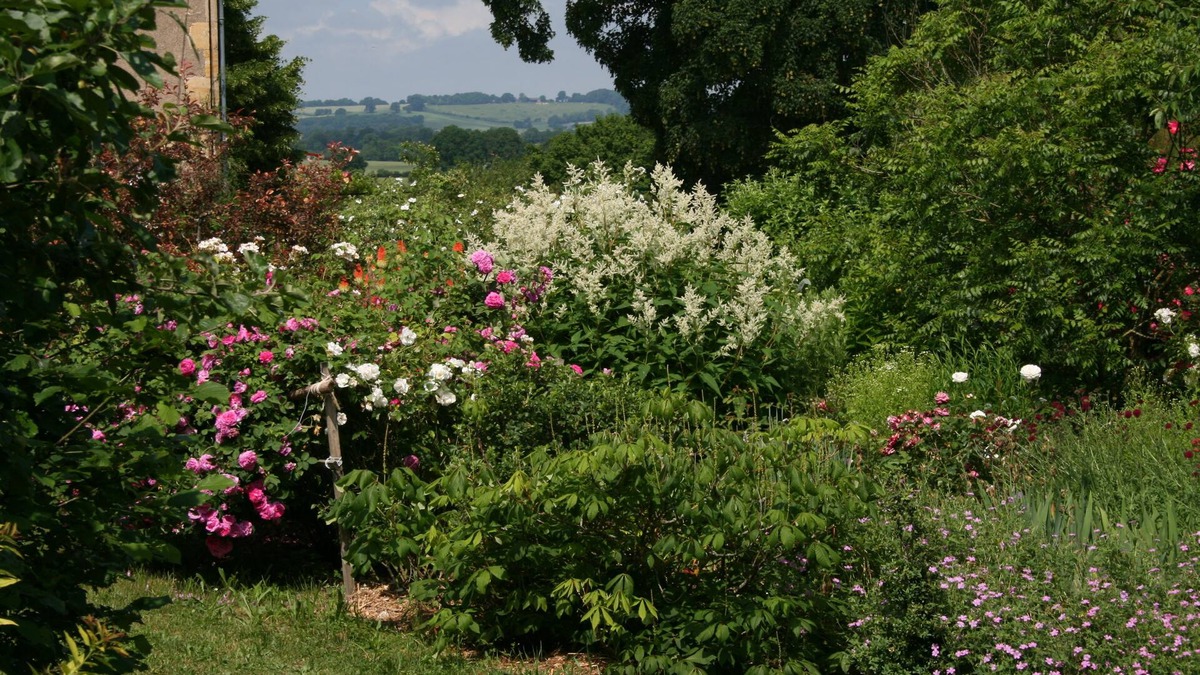 La Guerche-sur-l'Aubois Bed & Breakfast | Chambres d'hotes du Jay