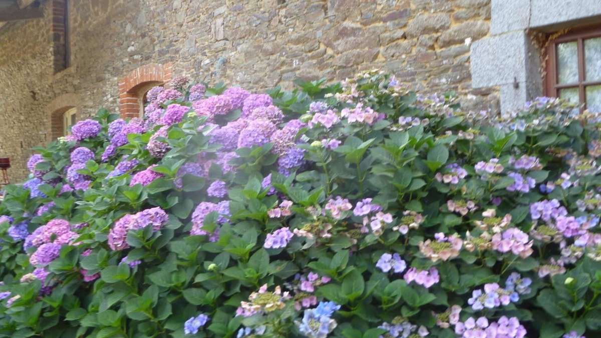 Roz-Landrieux Bed & Breakfast | Chambres Les Champs de Roz