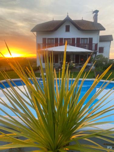 Ilharre House | Chambres Olhatsia