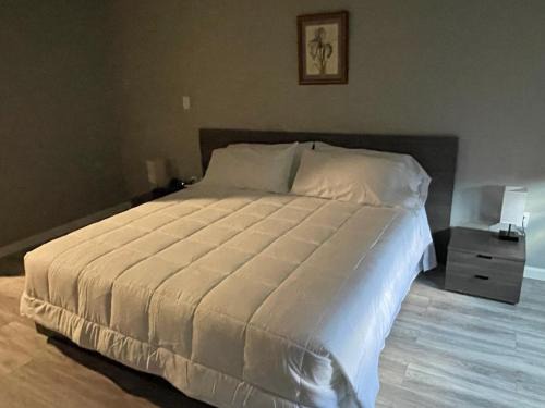 Shepherd Hotel | championinn